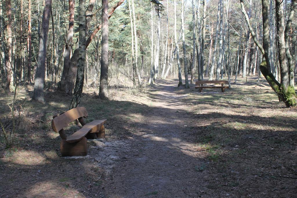 Studio Pluke Palanga Bagian luar foto