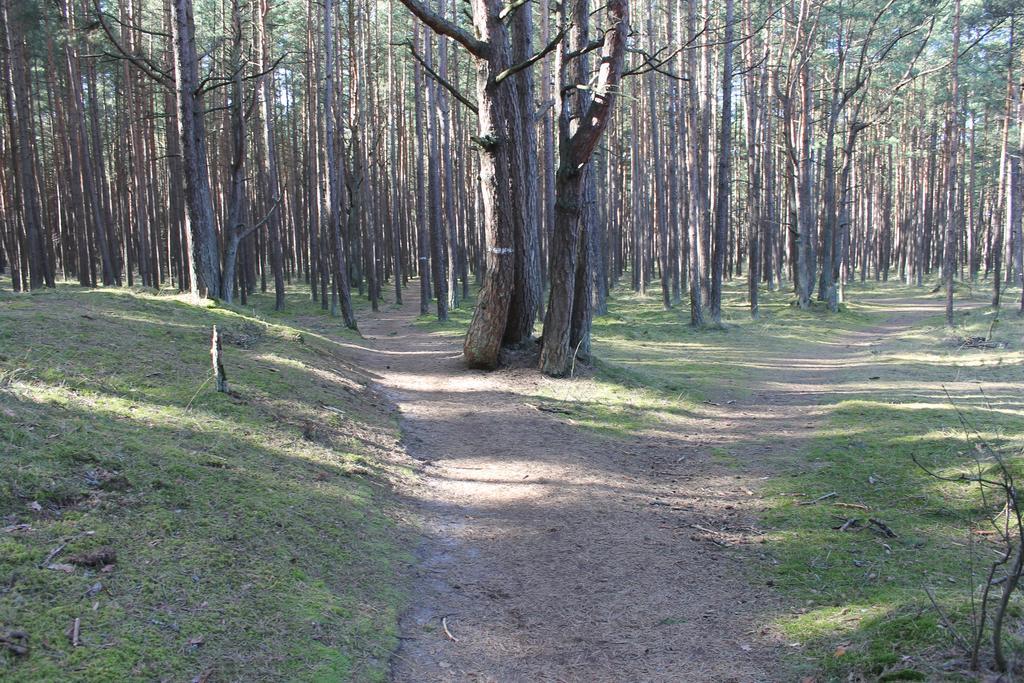 Studio Pluke Palanga Bagian luar foto