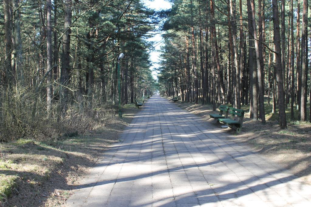 Studio Pluke Palanga Bagian luar foto